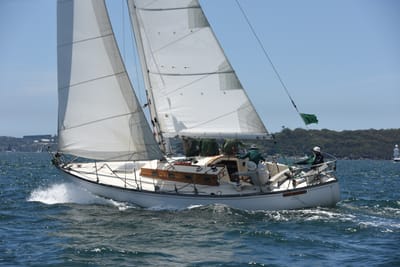 DSC_0126.JPG