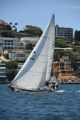 DSC_0129.JPG