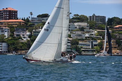 DSC_0130.JPG