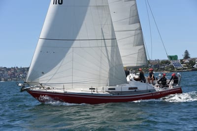 DSC_0132.JPG