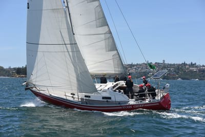DSC_0133.JPG