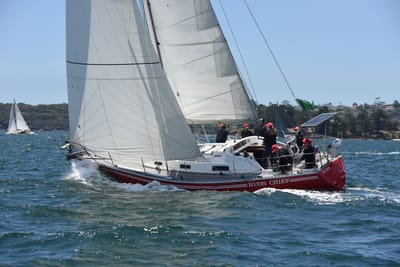 DSC_0136.JPG