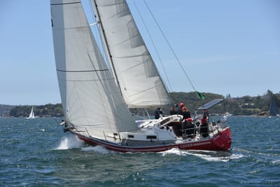DSC_0137.JPG