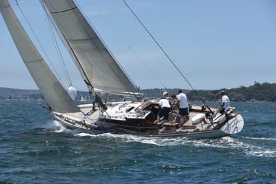 DSC_0146.JPG
