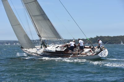 DSC_0147.JPG
