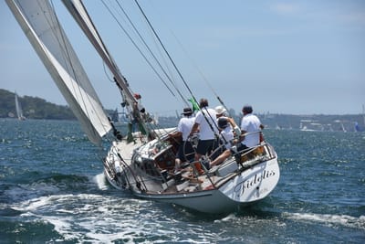 DSC_0151.JPG