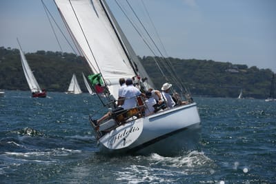 DSC_0159.JPG