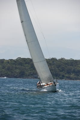 DSC_0174.JPG