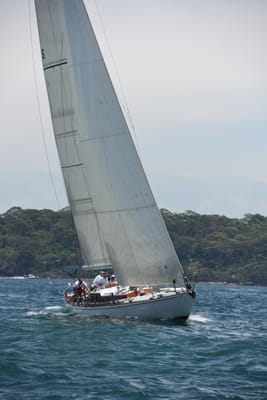DSC_0175.JPG