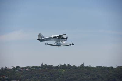 DSC_0177.JPG