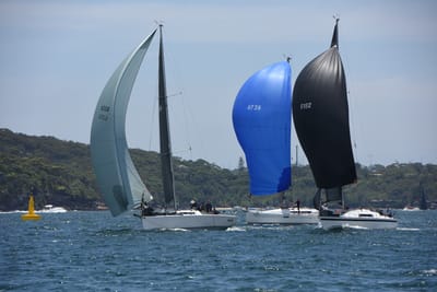 DSC_0181.JPG