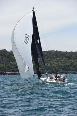 DSC_0190.JPG