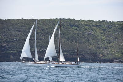 DSC_0194.JPG