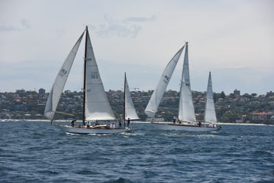 DSC_0195.JPG