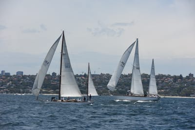 DSC_0196.JPG