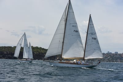 DSC_0200.JPG