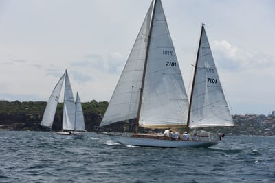 DSC_0201.JPG