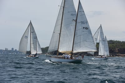 DSC_0204.JPG