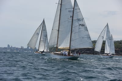 DSC_0205.JPG