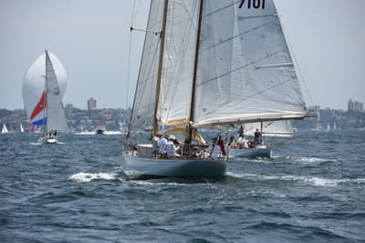 DSC_0206.JPG