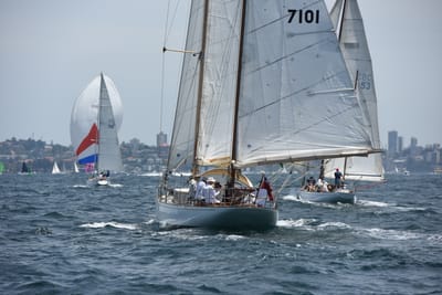 DSC_0207.JPG