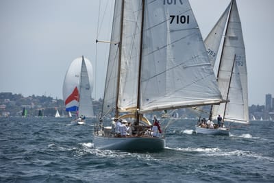 DSC_0208.JPG