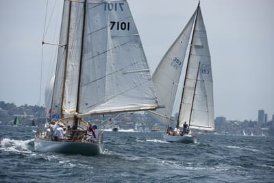 DSC_0210.JPG