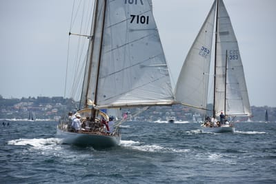 DSC_0211.JPG