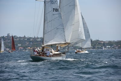 DSC_0212.JPG