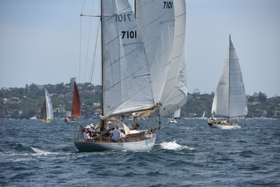 DSC_0213.JPG