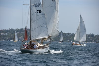 DSC_0214.JPG