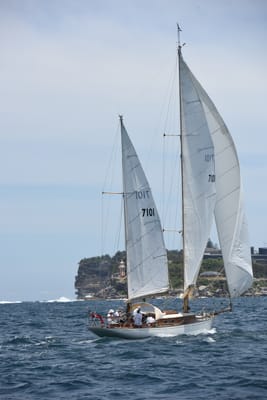 DSC_0215.JPG