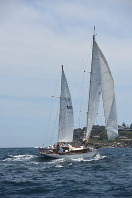 DSC_0216.JPG