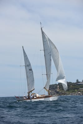 DSC_0217.JPG