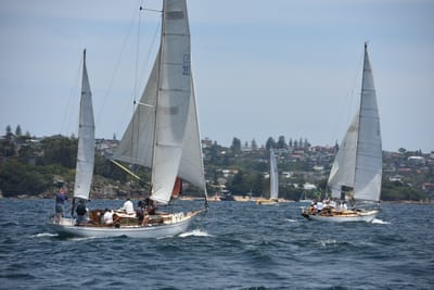 DSC_0218.JPG