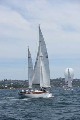 DSC_0220.JPG