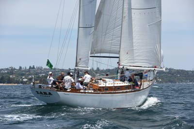 DSC_0221.JPG