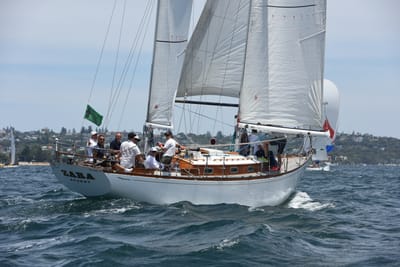 DSC_0222.JPG