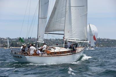 DSC_0223.JPG