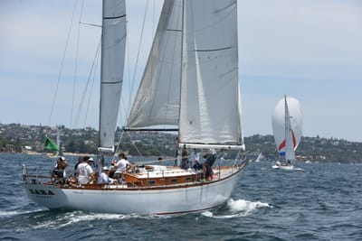DSC_0224.JPG