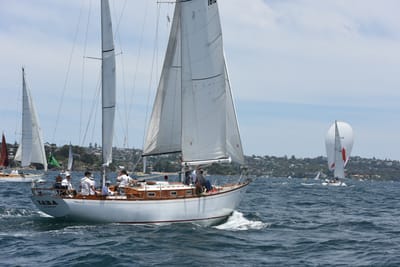 DSC_0225.JPG