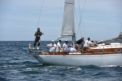 DSC_0226.JPG