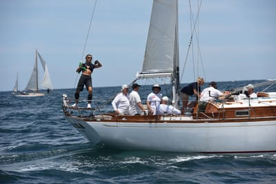 DSC_0229.JPG