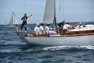 DSC_0230.JPG