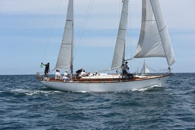 DSC_0235.JPG
