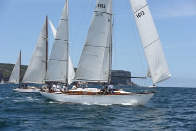 DSC_0236.JPG