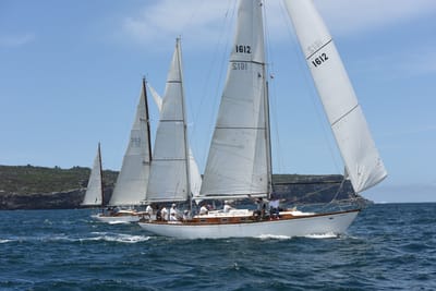 DSC_0238.JPG
