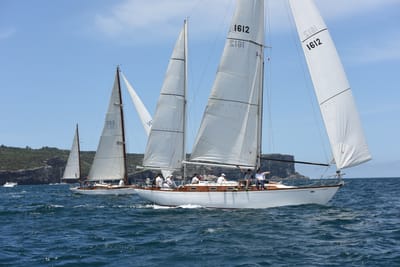 DSC_0239.JPG