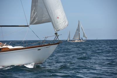 DSC_0241.JPG
