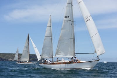 DSC_0242.JPG